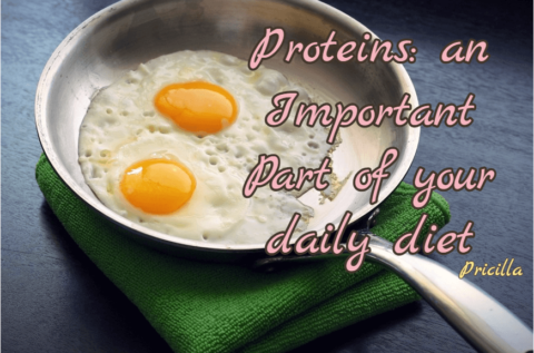 Proteins: an important part of your daily diet