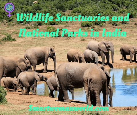 Wildlife Sanctuaries and National Parks in India