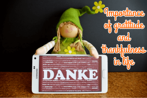 Importance of gratitude and thankfulness in life