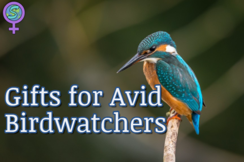 Gifts for Avid Birdwatchers: A comprehensive guide